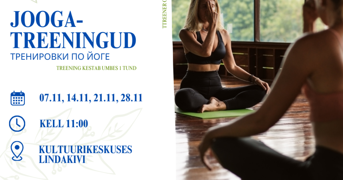 Табиғи шашқа арналған шашты сәндеуге арналған бейне